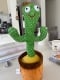 Прикачено изображение от потребител 1 за Забавният Танцуващ Кактус DANCETUS®.